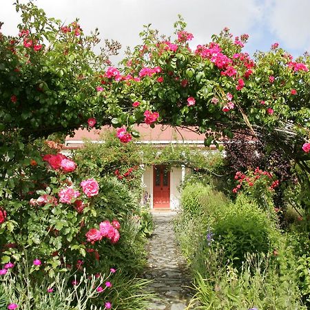 Ferryman'S Cottage Wanaka Exterior foto